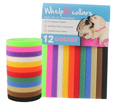 Picture of Doogy Puppy ID Collars Kit | 12 Color-Coded Identification